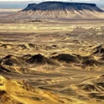 Barrick Seeks